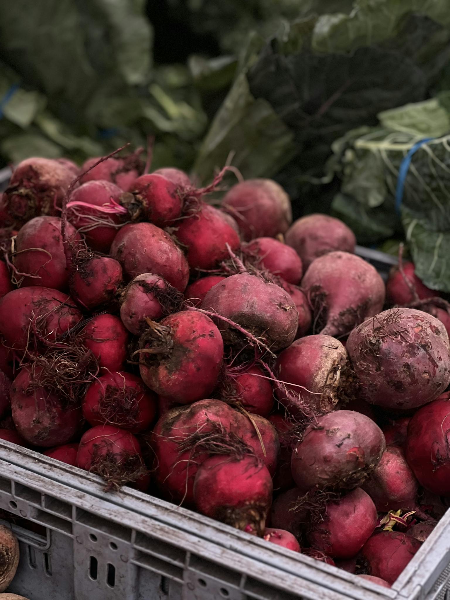 A vibrant display of fresh organic beets at a market, showcasing their rich red color.